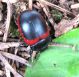 IMG_20170831_160854894.jpg