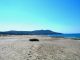 DSCN0576.JPG