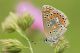 7D2_1060-webbis.jpg