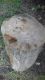 IMG-20171003-WA0001.jpg