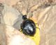 DSC_0017 - Copia.JPG