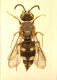 100_0330.JPG