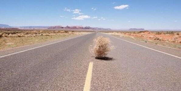 west-tx-tumbleweed.jpg