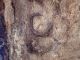 Bosco_Manziana_29-12-2017_001.JPG