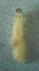 larva 009 A.jpg
