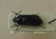 DSCN7483,ok-it.jpg