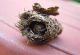 6-DSCN2239.jpg