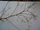 1-DSCN2237.jpg