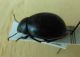 DSCN7583,okit.jpg