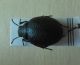 DSCN7590-okit.jpg
