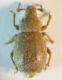 DSCN3449.JPG