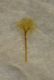 DSCN3466.JPG