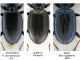 tn_B. geniculatum.jpg