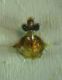 andrena vaga 011 A.jpg