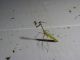 DSCN0130.JPG