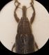 DSC00291.JPG