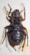 DSC01773.JPG