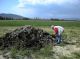 Padule di Molicciara (SP) 16.IV.2010.JPG