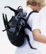 bizarre-beetle-bug-backpack.jpg
