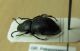 DSCN7869-okit.jpg