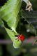 IMG_1854 - Copia.JPG