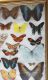 IMG-20180328-WA0003-3.jpg