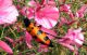 DSCN3727.JPG