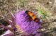 DSCN3826.JPG