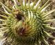 DSCN3806.JPG