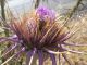 DSCN3815.JPG