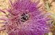 DSCN3773.JPG