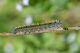 DSC_9104-2.jpg