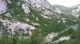 WP_20150509_10_32_33_Pro.jpg