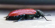 2018-05-06 (1).png