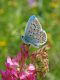 DSC_0432.jpg