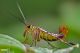 DSC_1292-2.jpg