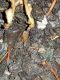 IMG-20180520-WA0003.jpg