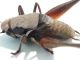 20180607_135428.jpg