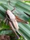 20180529_182148.jpg