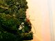 IMG_2380_800x600.jpg
