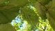20180701_140807.jpg