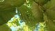 20180701_140810.jpg