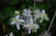 DSC_0569.JPG