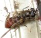 DSCN9123.JPG