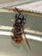 DSCN9125.JPG