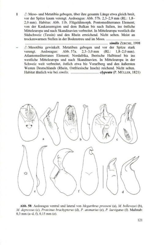 Die Käfer Mitteleuropas 4 Staphylinidae I - 132.jpg