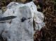 DSC03636.JPG