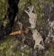 DSC_0112 Correction.jpg