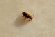 DSC01193.JPG