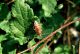 DSC01368.JPG